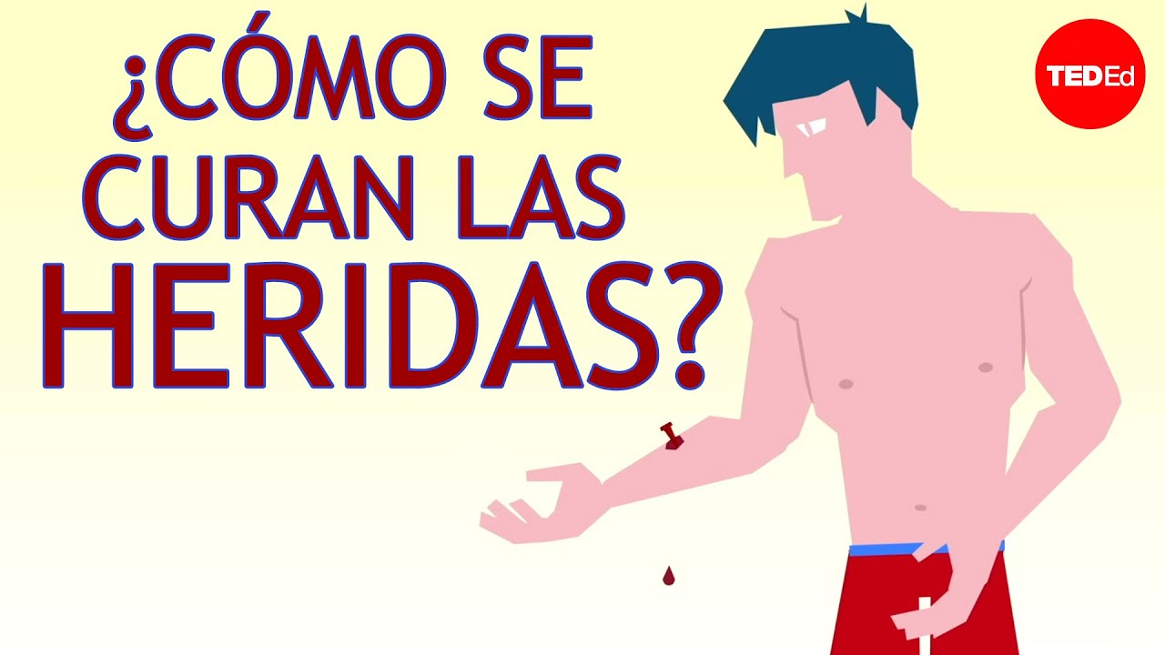 Heridas en la piel en España: tipos, causas, tratamiento y cuándo acudir al médico