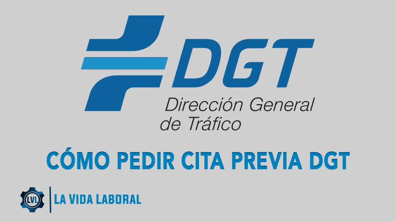 Cita previa DGA en España: cómo pedirla paso a paso