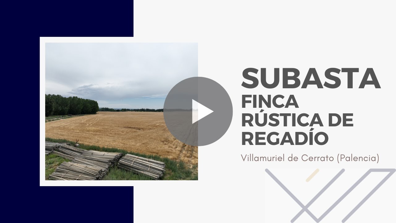 Subastas de fincas rústicas en España: cómo funcionan, dónde encontrarlas y qué debes revisar antes de pujar