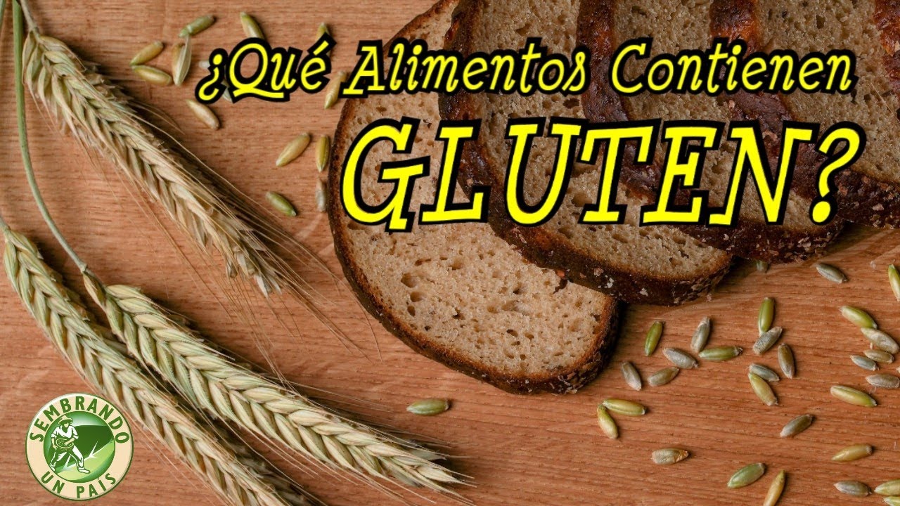 Alimentos con gluten en España: cuáles son, dónde se encuentran y cómo identificarlos