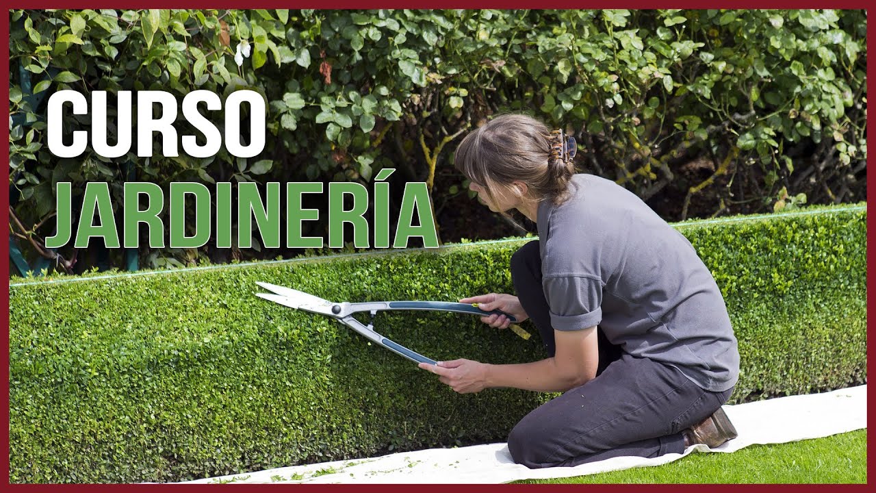 Convenio de jardinería en España: salario, jornada y derechos