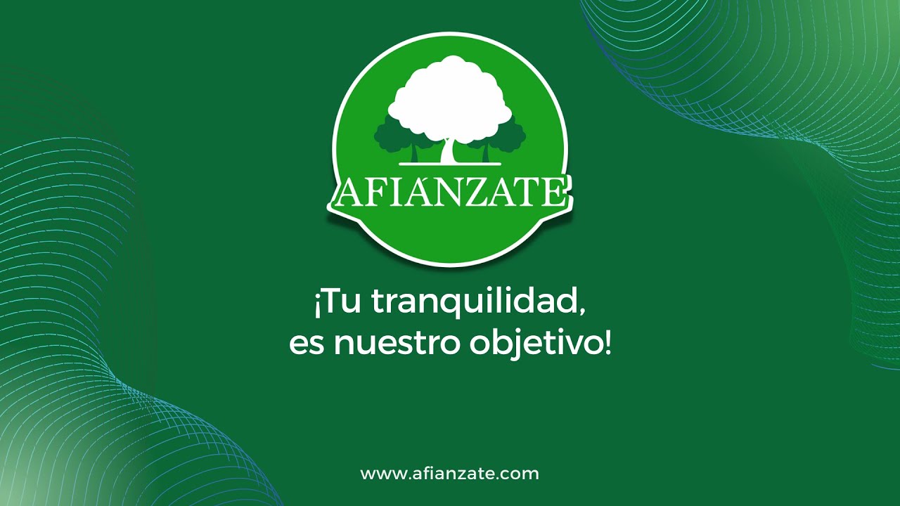 Fianza solidaria en España: qué es, cómo funciona y cuándo te la pueden pedir