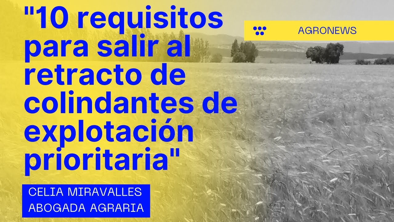 Retracto de colindantes en una explotación agraria prioritaria en España: requisitos, plazos y efectos