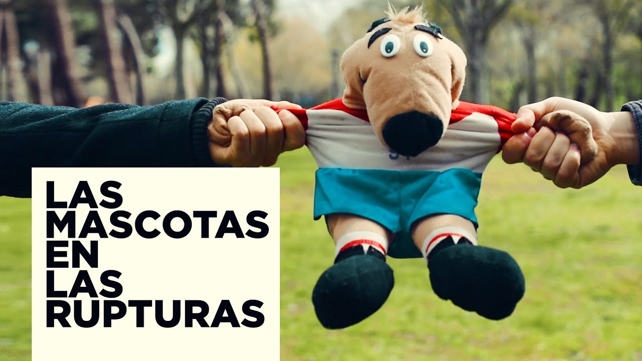 Custodia compartida de perros en España: cómo se regula y qué debes tener en cuenta